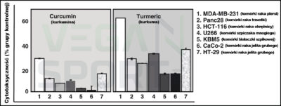 Kurkuma czy kurkumina lepsza przeciw nowotworom